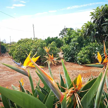 Holiday home Pino Redondo Puntagorda (La Palma)