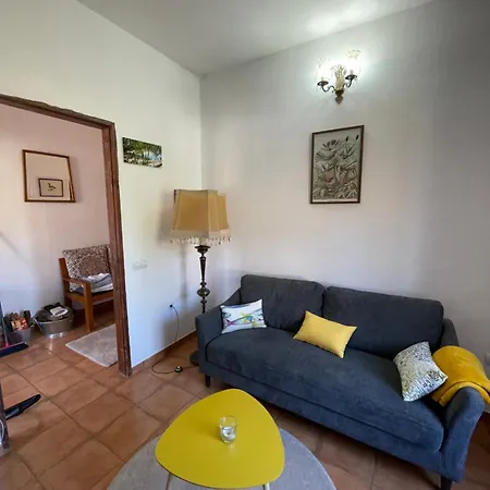 Pino Redondo * Puntagorda (La Palma)